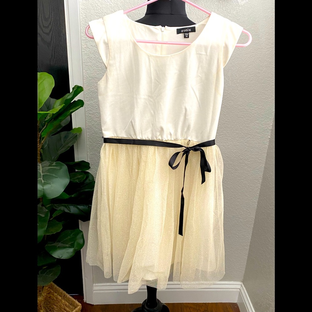 Fancy Tulle party dress 14